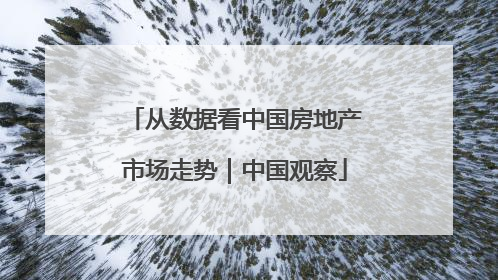 从数据看中国房地产市场走势｜中国观察