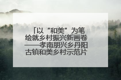 以“和美”为笔 绘就乡村振兴新画卷——孝南朋兴乡丹阳古镇和美乡村示范片区建设综述