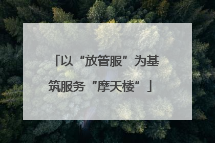 以“放管服”为基筑服务“摩天楼”