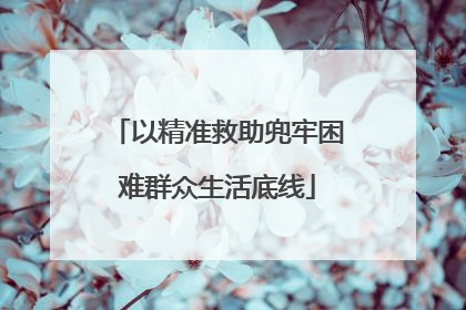 以精准救助兜牢困难群众生活底线