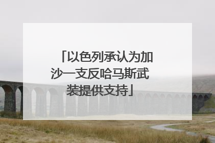 以色列承认为加沙一支反哈马斯武装提供支持
