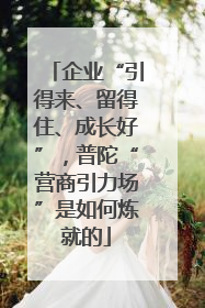 企业“引得来、留得住、成长好”，普陀“营商引力场”是如何炼就的