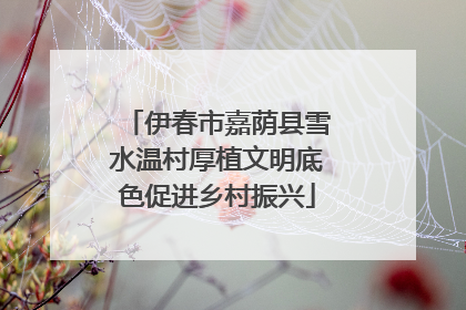 伊春市嘉荫县雪水温村厚植文明底色促进乡村振兴