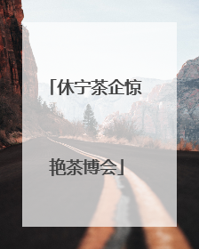 休宁茶企惊艳茶博会