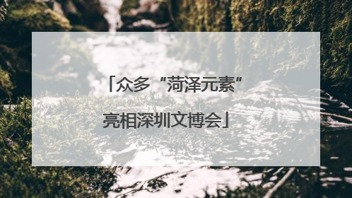 众多“菏泽元素”亮相深圳文博会