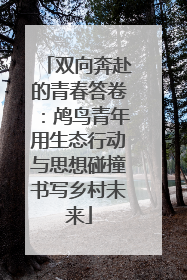 双向奔赴的青春答卷：鸬鸟青年用生态行动与思想碰撞书写乡村未来