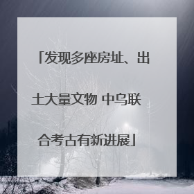 发现多座房址、出土大量文物 中乌联合考古有新进展