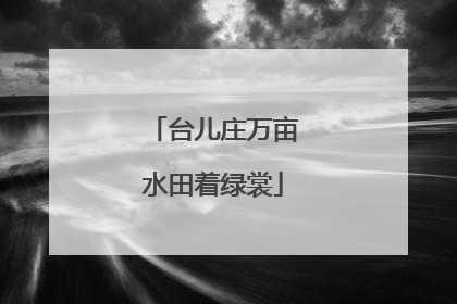 台儿庄万亩水田着绿裳