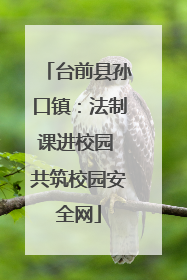 台前县孙口镇：法制课进校园 共筑校园安全网
