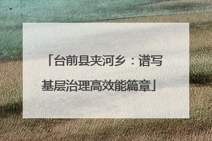 台前县夹河乡：谱写基层治理高效能篇章