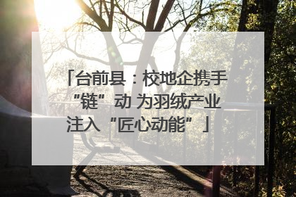 台前县：校地企携手“链”动 为羽绒产业注入“匠心动能”