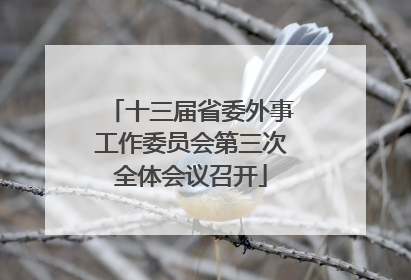 十三届省委外事工作委员会第三次全体会议召开