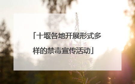 十堰各地开展形式多样的禁毒宣传活动