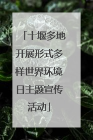 十堰多地开展形式多样世界环境日主题宣传活动