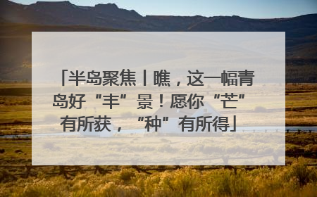 半岛聚焦丨瞧，这一幅青岛好“丰”景！愿你“芒”有所获，“种”有所得