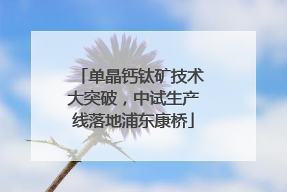单晶钙钛矿技术大突破，中试生产线落地浦东康桥