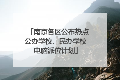 南京各区公布热点公办学校、民办学校电脑派位计划