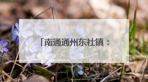 南通通州东社镇：“五一”返乡，党员们“归巢”学习
