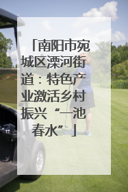 南阳市宛城区溧河街道：特色产业激活乡村振兴“一池春水”