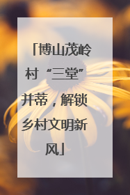 博山茂岭村“三堂”并蒂，解锁乡村文明新风
