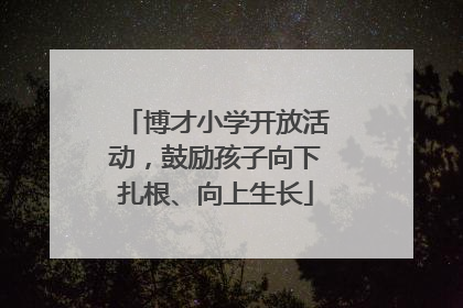 博才小学开放活动，鼓励孩子向下扎根、向上生长
