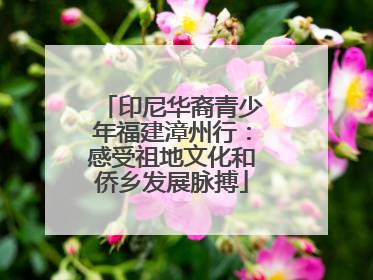 印尼华裔青少年福建漳州行：感受祖地文化和侨乡发展脉搏