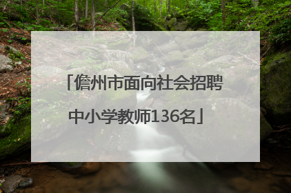 儋州市面向社会招聘中小学教师136名