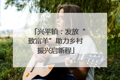 兴平镇：发放“致富羊”助力乡村振兴启新程