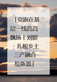 党旗在基层一线高高飘扬丨刘影：扎根乡土 三产融合绘新景