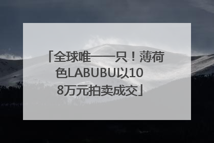 全球唯一一只！薄荷色LABUBU以108万元拍卖成交