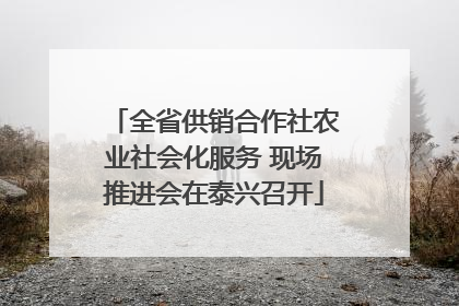 全省供销合作社农业社会化服务 现场推进会在泰兴召开