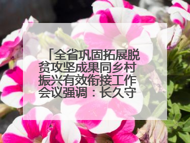 全省巩固拓展脱贫攻坚成果同乡村振兴有效衔接工作会议强调：长久守牢不发生规模性返贫致贫底线 王宁出席并讲话 王予波主持