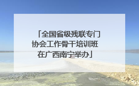 全国省级残联专门协会工作骨干培训班在广西南宁举办