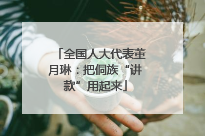 全国人大代表董月琳：把侗族“讲款”用起来