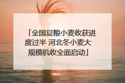 全国夏粮小麦收获进度过半 河北冬小麦大规模机收全面启动