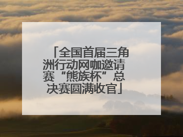 全国首届三角洲行动网咖邀请赛“熊族杯”总决赛圆满收官