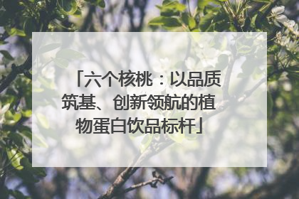 六个核桃：以品质筑基、创新领航的植物蛋白饮品标杆