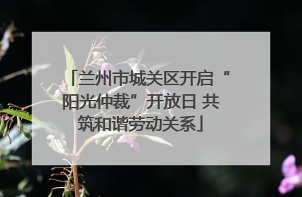 兰州市城关区开启“阳光仲裁”开放日 共筑和谐劳动关系