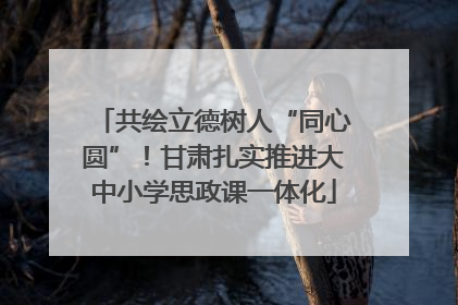 共绘立德树人“同心圆”！甘肃扎实推进大中小学思政课一体化