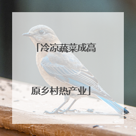 冷凉蔬菜成高原乡村热产业
