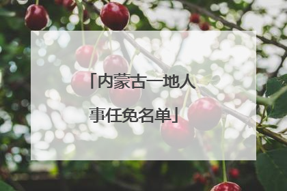 内蒙古一地人事任免名单