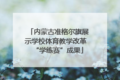 内蒙古准格尔旗展示学校体育教学改革“学练赛”成果