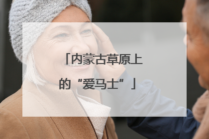 内蒙古草原上的“爱马士”