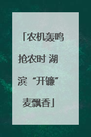 农机轰鸣抢农时 湖滨“开镰”麦飘香