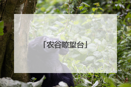 农谷瞭望台