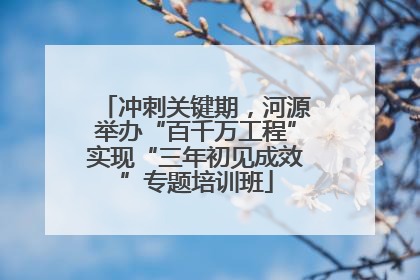冲刺关键期，河源举办“百千万工程”实现“三年初见成效”专题培训班