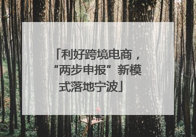利好跨境电商，“两步申报”新模式落地宁波