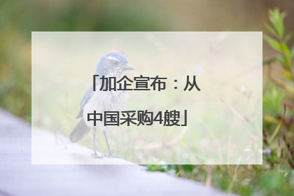 加企宣布：从中国采购4艘