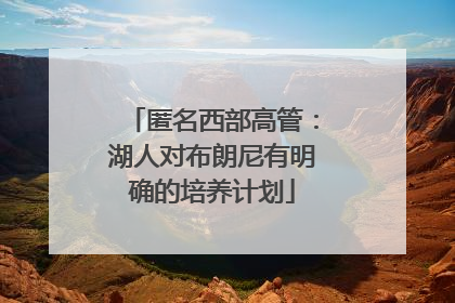 匿名西部高管：湖人对布朗尼有明确的培养计划