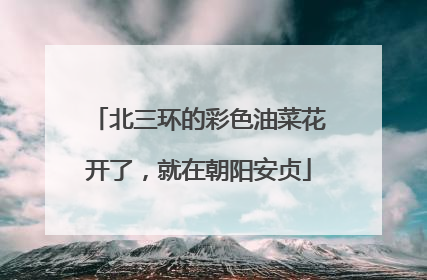 北三环的彩色油菜花开了，就在朝阳安贞